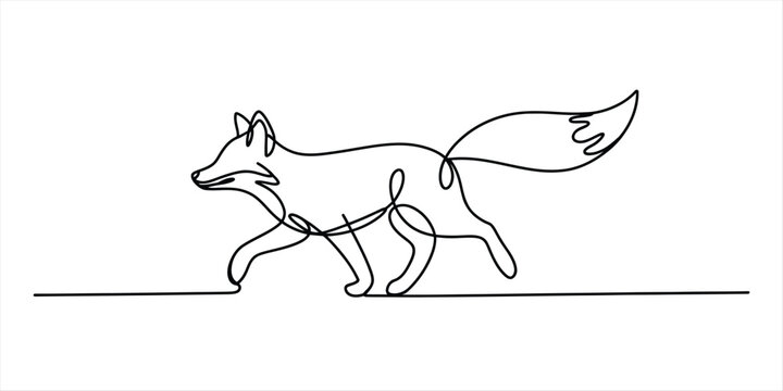 Single line drawing of a fox walking Vector, illustration