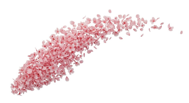 Vector illustration&nbsp;of pink cherry blossom petals flying in the wind on a transparent background