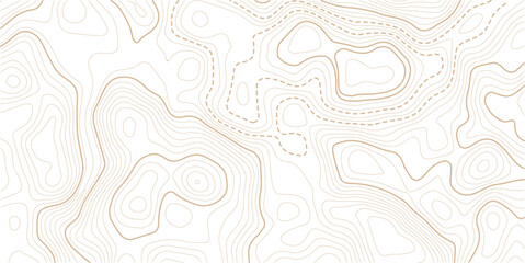 Abstract pattern with lines seamless pattern and topography map and counter map.Topography and geography map grid abstract backdrop. © MITA