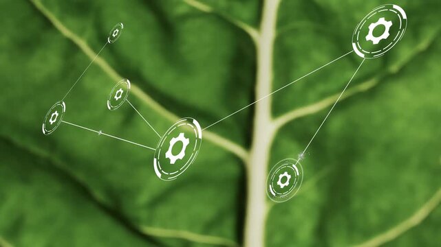 Gear node appearing on leaf, HUD network multiplying and linking via thin lines for technology demo