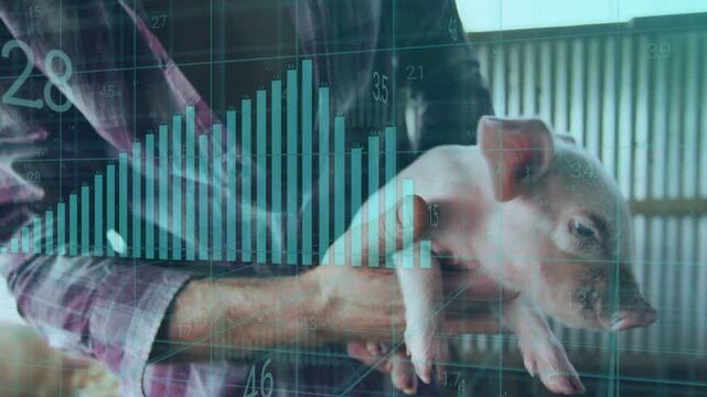 Man holding piglet and adjusting grip, activating animated teal bars overlaying torso for farm data