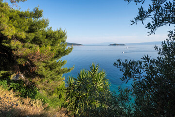 Obraz premium The town of Skiathos, Sporades, Thessaly, Greece