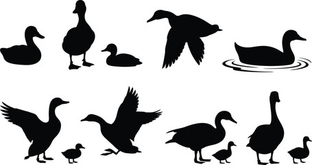 Black silhouette vector collection of flying ducks, swimming geese, walking ducklings, and wild water birds for nature wildlife graphic designs. © Antara