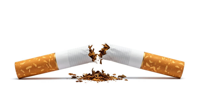 Broken cigarette with tobacco spilling out on white background symbolizing quitting smoking