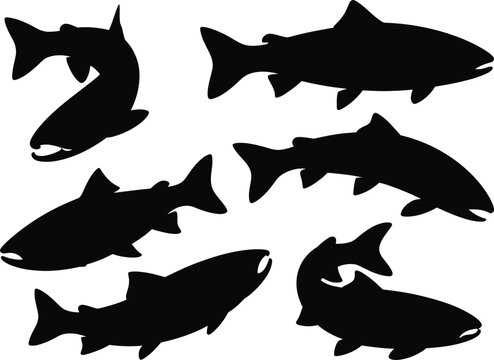 Collection of fish silhouettes including shark, dolphin, and various marine species isolated on dark background representing ocean wildlife and aquatic life