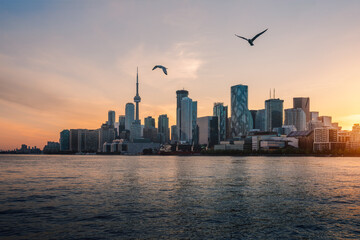 Naklejka premium Toronto city skyline at sunset on Lake Ontario with seagulls - Toronto, Ontario, Canada