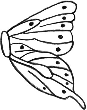 Monarch Wing Sketch: A delicate, hand-drawn sketch showcases a single monarch butterfly wing, revealing intricate patterns and a sense of natural elegance.