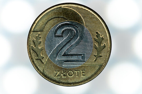 close up shot of a polish two zlote bimetallic coin featuring detailed oak leaf engravings and texture for financial articles and numismatic collectors
