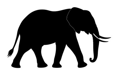 Fototapeta premium Realistic Elephant Silhouette Vector, Walking African Elephant Isolated on White Background