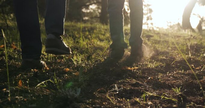 People walking in nature during sunset. Feet in the forest at sunset. Friends enjoy outdoor adventure together. Peaceful atmosphere creates memorable moments in beautiful surroundings.