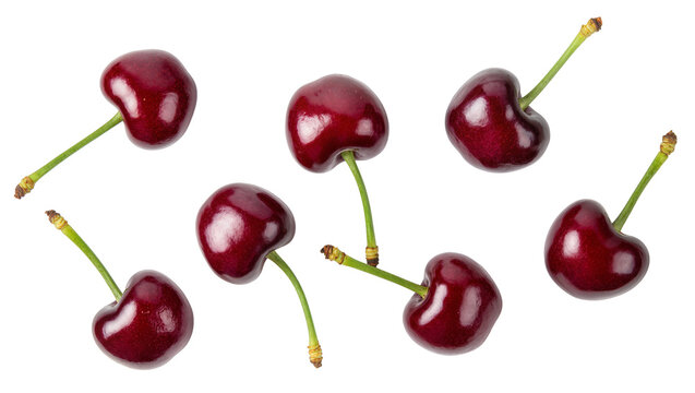Seven ripe dark red cherries with green stems, isolated on transparent background