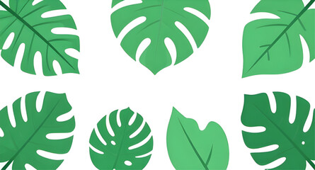 monstera leaf pattern, tropical foliage background, green leaf vector design, jungle plant illustration, exotic botanical pattern, seamless leaf background, fresh green foliage, nature wallpaper desig © zpixel
