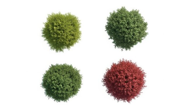 Four round topiary shrubs