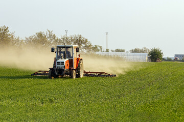 Fototapeta premium Tractor works on field during daylight near green crops with dust rising from ground