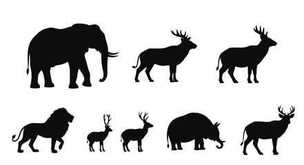 Black silhouettes of various wild animals. © Viva