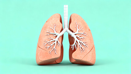 Fototapeta premium Anatomical illustration of human lungs and trachea, medical concept, isolated on transparent background