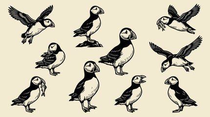 Fototapeta premium Puffin Bird Linocut Illustration Set: Professional Woodblock Graphic Elements, Flying and Standing Poses