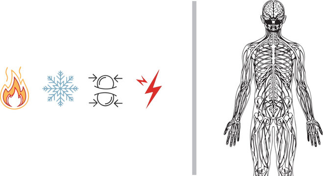 Human nervous system and sensory stimuli icons vector illustration isolated on white background