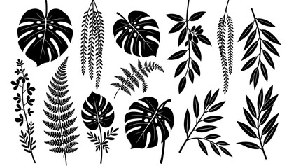 Fototapeta premium A minimalist black and white botanical illustration evoking natural beauty. Perfect for backgrounds, website design, or adding an organic touch to bra