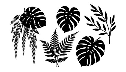 A minimalist black and white illustration of a fern frond, evoking a sense of natural tranquility and organic beauty. Ideal for backgrounds, textures, © tordi