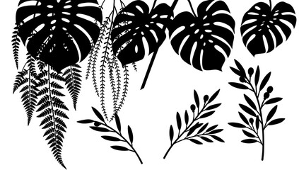 A minimalist image featuring a dark fern branch against a bright white background. Perfect for designs needing a natural, organic element or a touch o © tordi