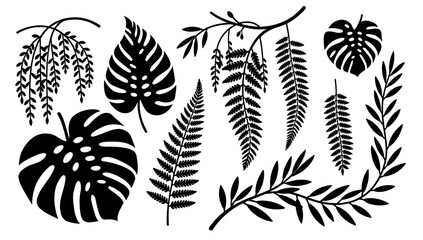 A striking minimalist image of a monstera leaf, perfect for backgrounds or adding a touch of nature to designs. Evokes a serene and modern mood, ideal © tordi