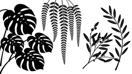 A striking black and white image of a monstera leaf, offering a modern and minimalist aesthetic. Ideal for backgrounds, branding, or designs needing a © tordi