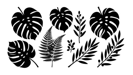 A striking black and white composition featuring a monstera leaf fragment. Ideal for backgrounds, textures, or adding a tropical, organic element to d © tordi