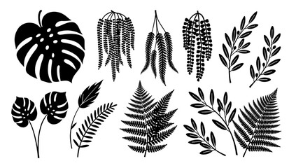 A striking black and white image of monstera leaves, perfect for adding a touch of botanical elegance to website designs, marketing materials, or soci © tordi
