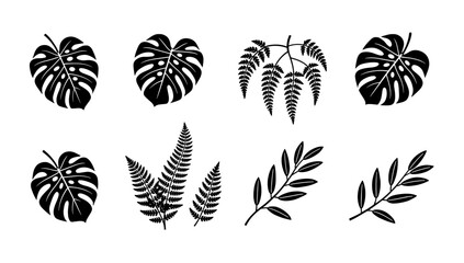 A striking black monstera leaf against a clean white background evokes a sense of tropical freshness. Ideal for minimalist designs, website background © tordi