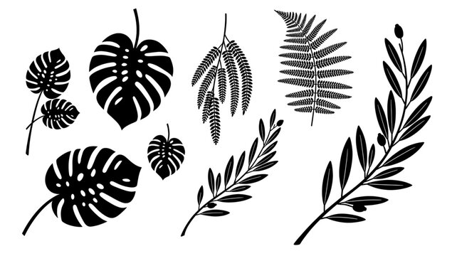 A minimalist, high-contrast image of a monstera leaf, perfect for adding a touch of tropical flair to designs. Ideal for websites, backgrounds, or soc