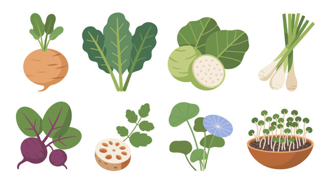 Fresh Organic Vegetables Illustration Collection &ndash; Leafy Greens and Root Crops Flat Vector Set