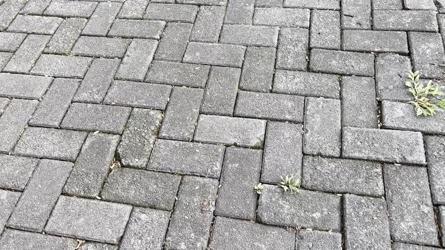 Herringbone Pattern Concrete Paving Blocks Texture