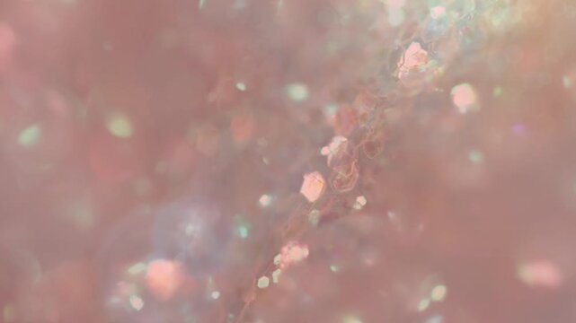 Salmon - FA8072 Hex Code Abstract, Glow, Particles youtube intro video animation template channel branding promo opener motion graphics modern dynamic creative clean stylish social media content