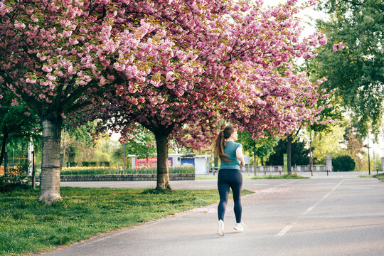 Active woman jogging along a road lined with blooming cherry blossom trees in spring