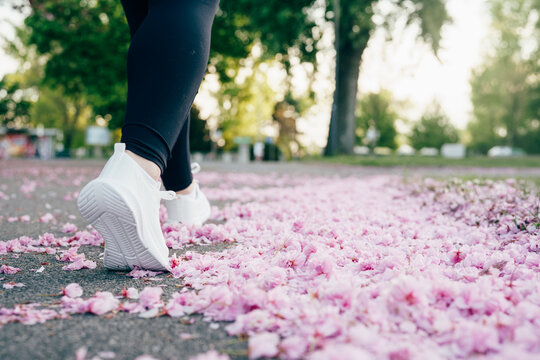 Low angle view of woman&rsquo;s feet running on ground covered with pink cherry blossom petals