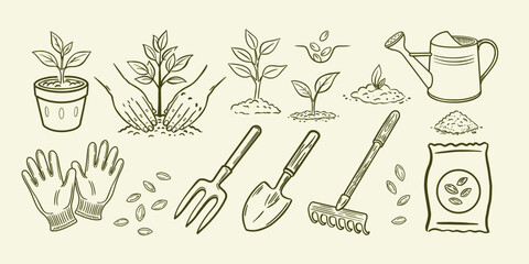 Collection of detailed sketches depicting the main stages of planting and the necessary gardening tools. © olgadanilina