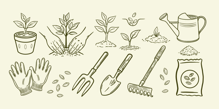 Collection of detailed sketches depicting the main stages of planting and the necessary gardening tools.