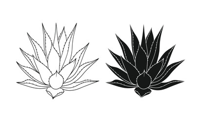 A striking botanical illustration depicts two agave plants one in white line art and the other as a bold silhouette high quality professional detailed © rsvect02
