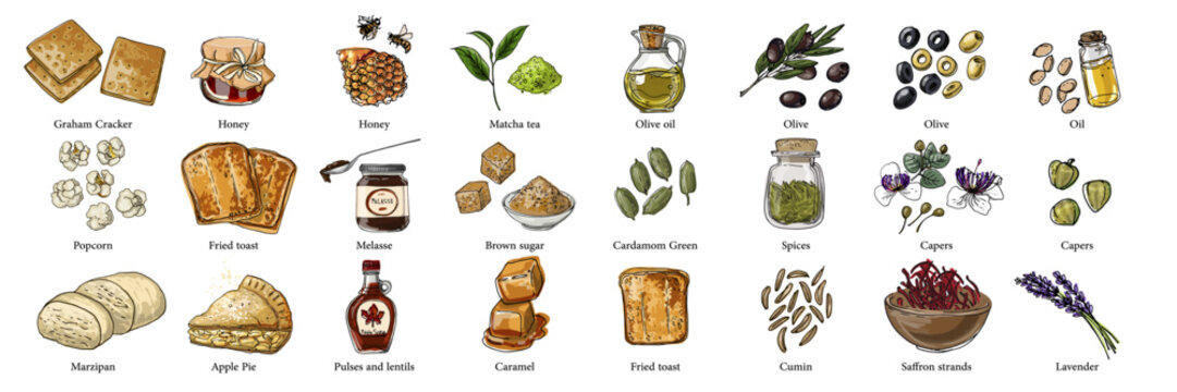 Vector food illustration colorful hand drawn Spices, tea, flavors
