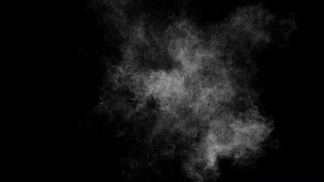 Slow motion white smoke cloud dissipating in the center on transparent background 4K