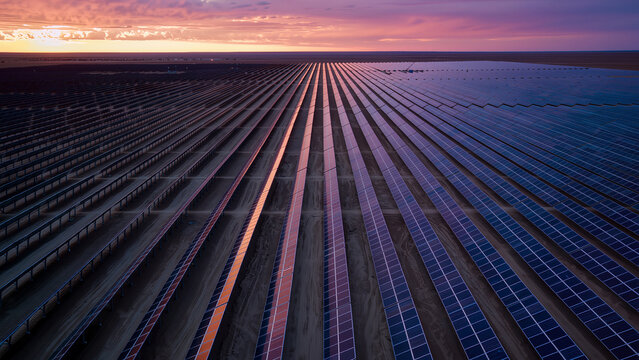 Massive solar panel array at sunset, renewable energy and sustainable technology concept.
