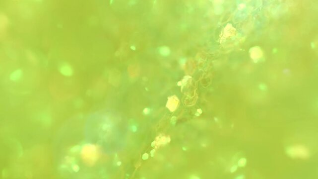 Yellow - FFFF00 Hex Code Abstract, Glow, Particles colorful promo video advertising marketing animation template vibrant intro opener brand motion graphics dynamic modern creative eye catching social 