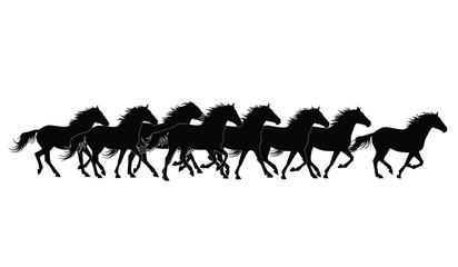 A dynamic arrangement of seven horses depicted in full gallop their manes and tails flowing presented as a striking silhouette high quality professional detailed © rsvect02