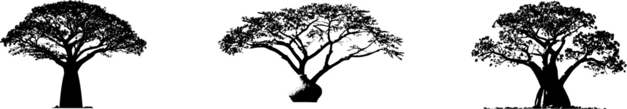 A stunning photorealistic image of an ancient African Bottle Tree, showcasing its massive, smooth trunk in a bottle shape, perfectly isolated against a pure white background