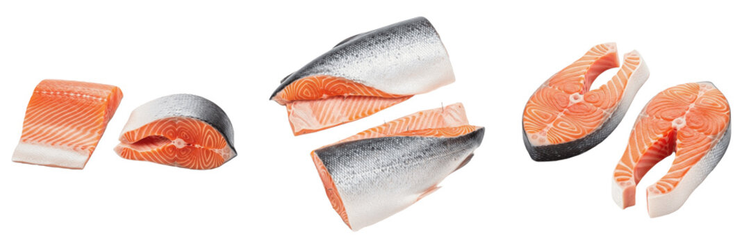 Set and collection Salmon Fish Fillet isolated on transparent png background