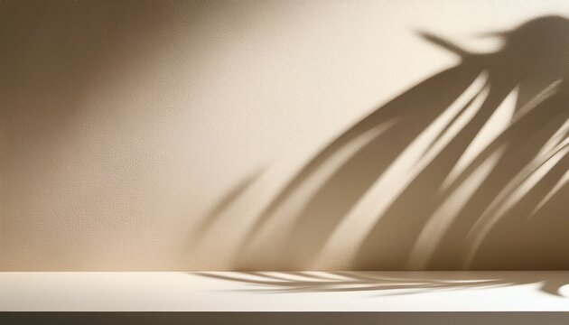 background image for design or product presentation with a play of light and shadow in light warm neutral tones