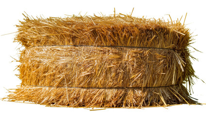 Rectangular golden straw bale tied with dark twine, isolated on transparent background © Eoin