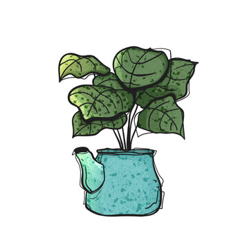 Watercolor Style Vector Tropical Plant in Teal Blue Vintage Teapot Hand Drawn Illustration