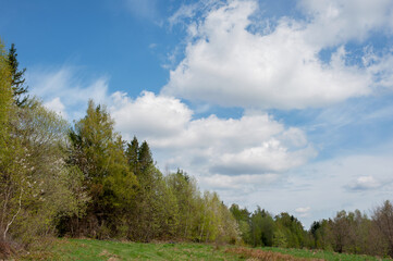 Fototapeta premium Spring cherry blossom landscape in the mountains of Europe.